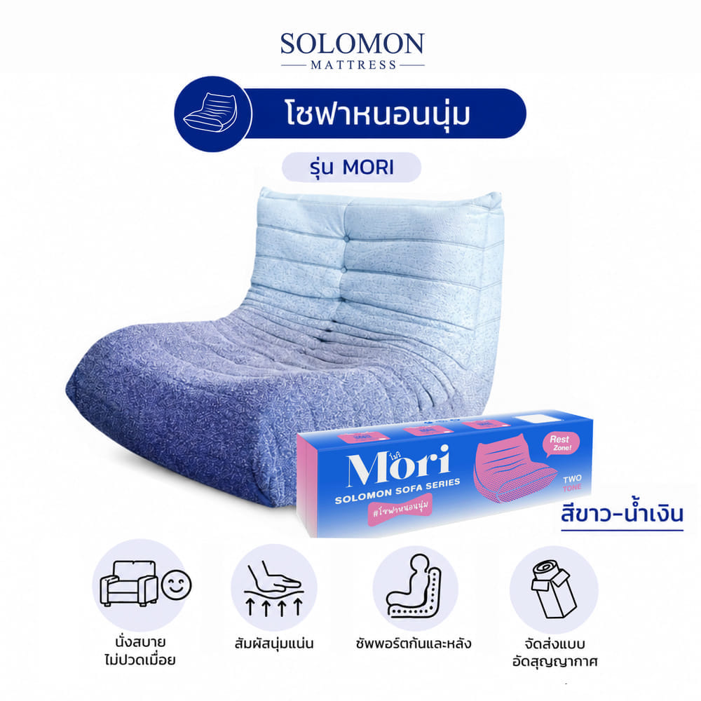 โซฟา SOLOMON รุ่น MORI ทูโทน สีขาว-น้ำเงิน_9